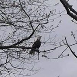 Meet your Posher, Dmitrij